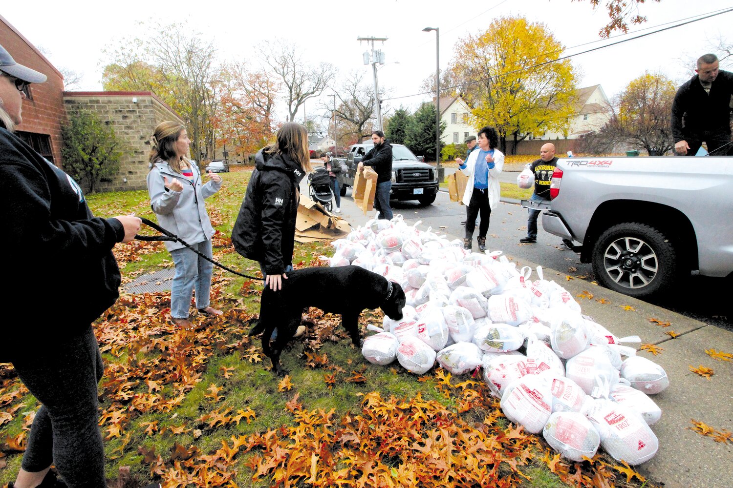 TURKEY SNIFF: Col. Connor’s black lab, Major, was intrigued by the frozen turkeys ready to be distributed Saturday at the Norwood Branch of the Warwick Boys and Girls Clubs. (Warwick Beacon photos)